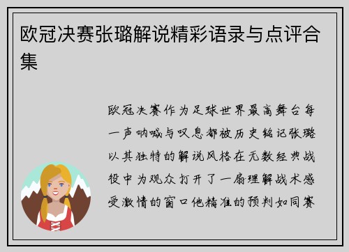 欧冠决赛张璐解说精彩语录与点评合集
